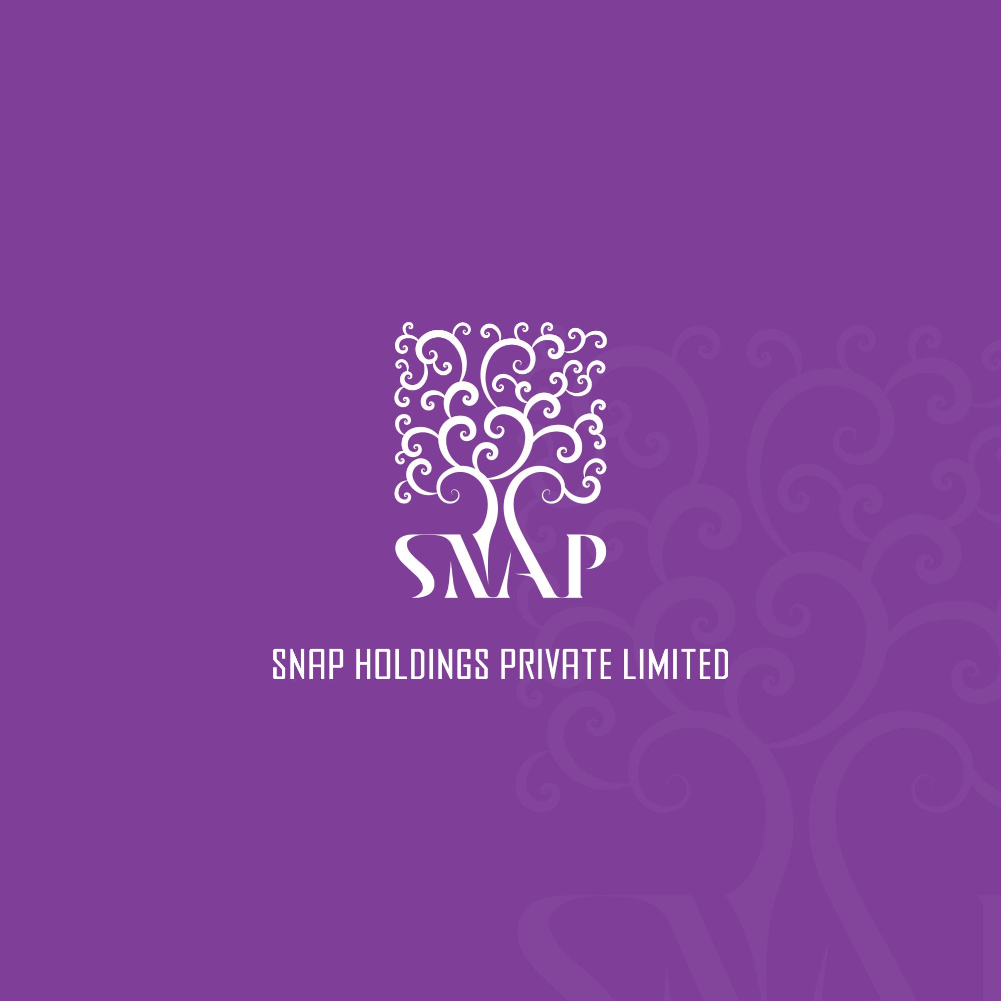 SNAP Holdings (Pvt) Ltd Logo Design – Devsmark (Pvt) Ltd